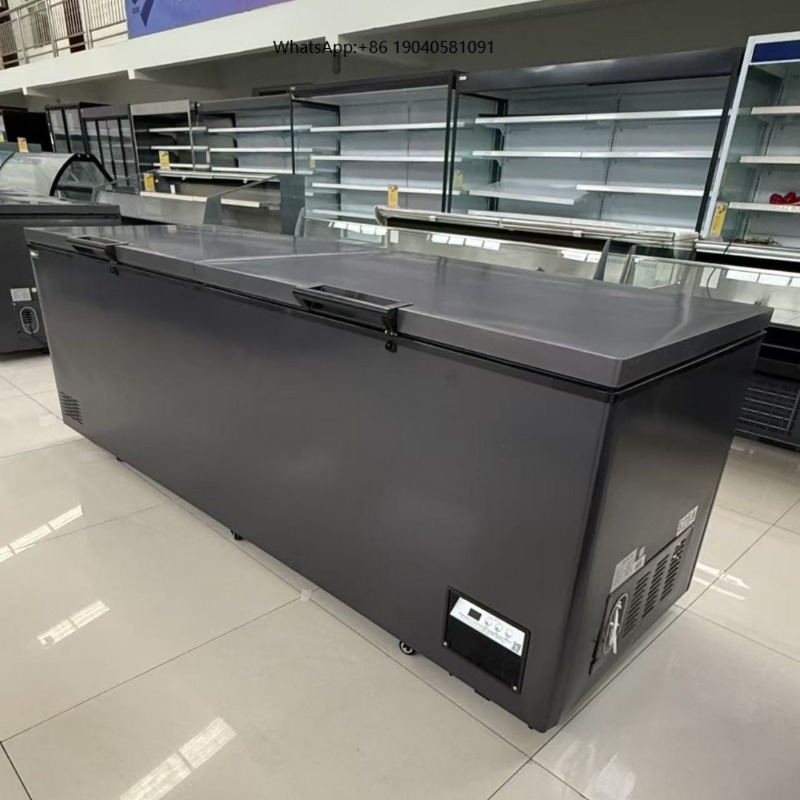 Commercial Chest Freezer - Congelatore orizzontale a doppia porta, ideale