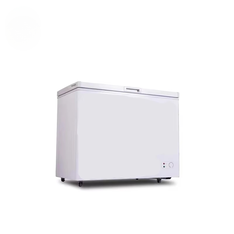 Commercial Chest Freezer - Frigorifero con congelatore orizzontale commerciale di