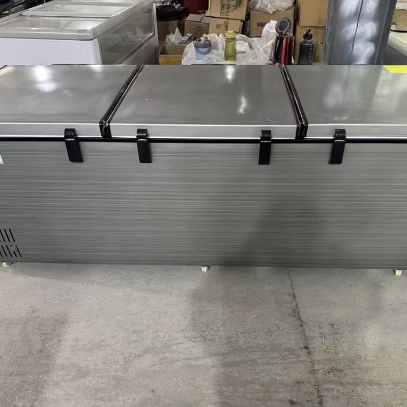 Congelatore Commerciale Orizzo - Commercial Chest Freezer recensione e prezzo