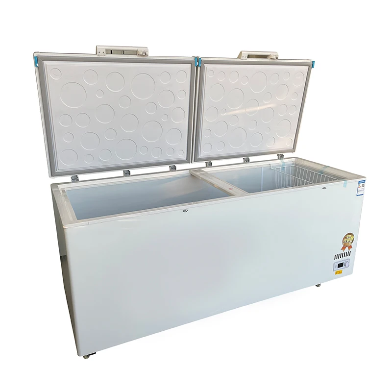 # Congelatore commerciale di g - Commercial Chest Freezer recensione e prezzo