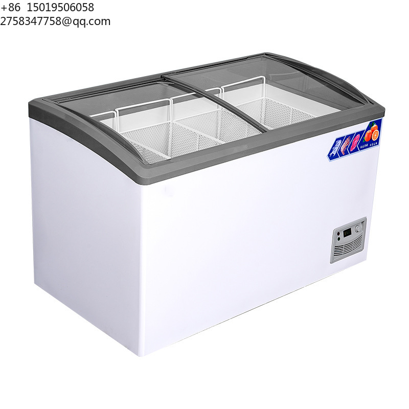 Congelatore Orizzontale Elettr - Commercial Chest Freezer recensione e prezzo