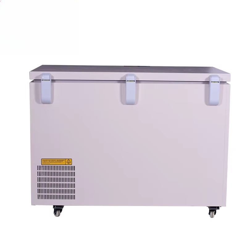268L -60 ℃   Congelatore a poz - Commercial Chest Freezer recensione e prezzo