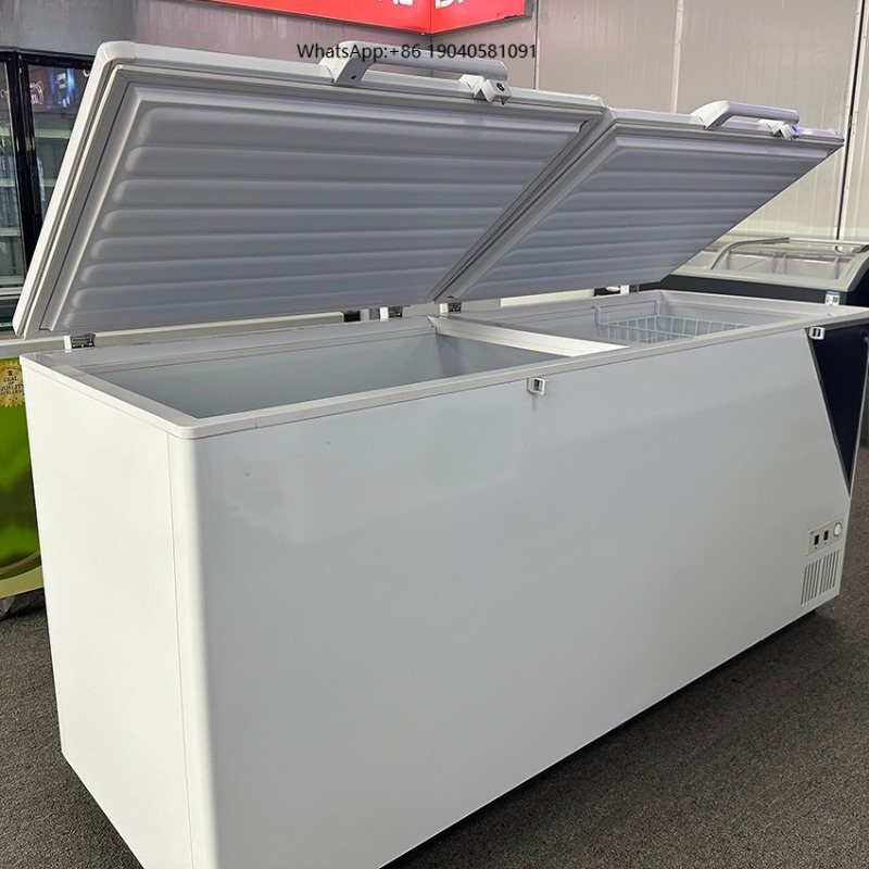 Congelatore orizzontale commer - Commercial Chest Freezer recensione e prezzo